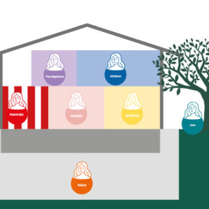 Atelier + Networking à la Maison de l'Ecologie à namur